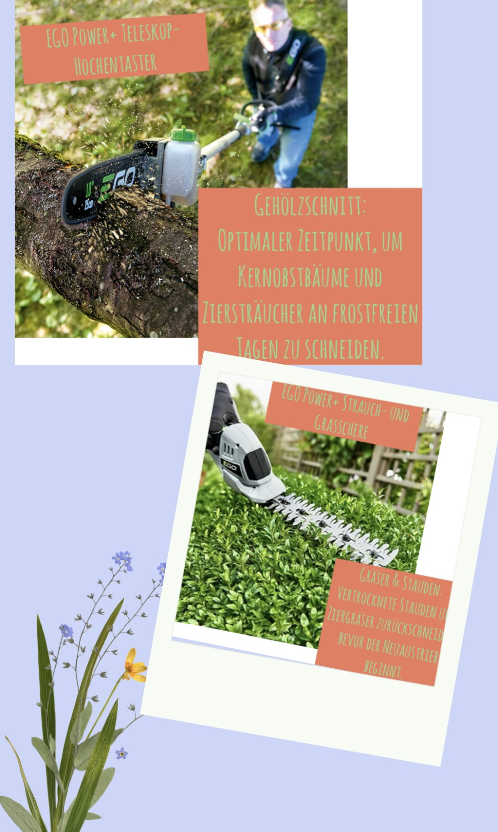 Gartenarbeit kann beginnen 